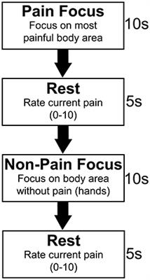 Functional Hyperconnectivity and Task-Based Activity Changes Associated With Neuropathic Pain After Spinal Cord Injury: A Pilot Study